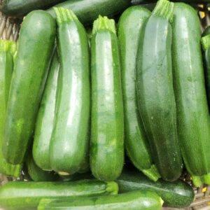 Courgettes vertes (1kg)