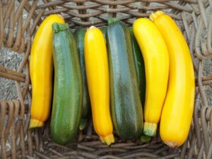 Courgettes (1kg)