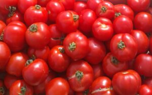 Tomates rondes (500g)