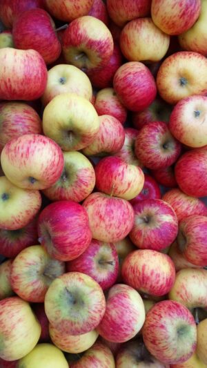 Pomme à croquer (500g) (variété Melrose)