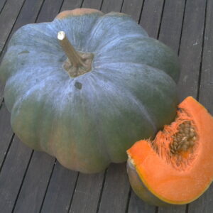 Courge Musquée de Provence (part environ 1kg)