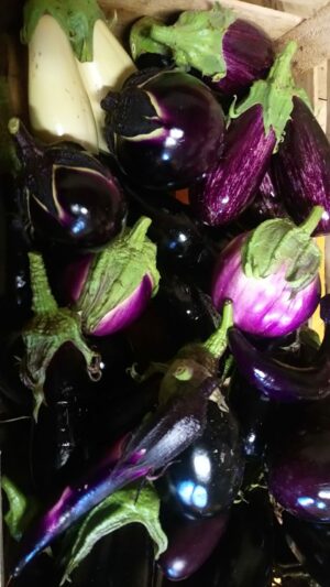 Aubergine (500g)