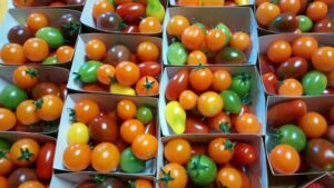 Tomates cerises (barquette de 250g)