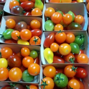 Tomates cerises (barquette de 250g)
