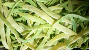 Haricots beurre (500g)