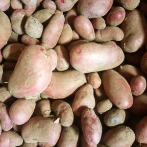 Pommes de terre -  variété rosabelle - (500g)