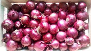 Oignon rouge (500g)
