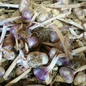 Ail blanc sec (100g)