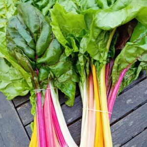 Blette blanche/jaune/rouge (400g)