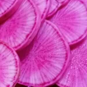 Radis pink meat (500g)