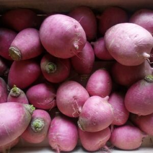 Radis pink meat (500g)