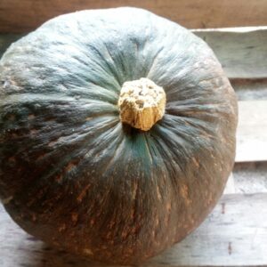Courge Kabocha (part d'1kg)