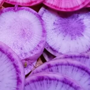 Radis d'hiver violet (500g)