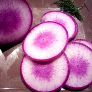 Radis d'hiver violet (500g)