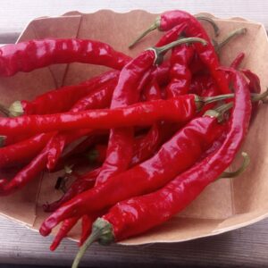 Piment de Cayenne - 5 pièces