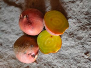 Betterave Jaune (500g)