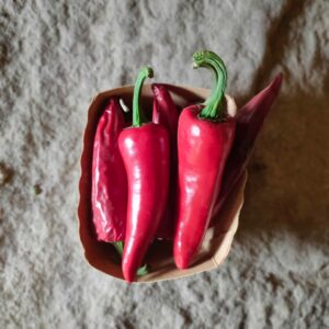 Piment Goria "type espelette" - 1 pièce