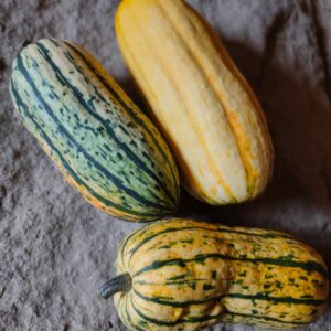 Courge Delicata  (pièce)