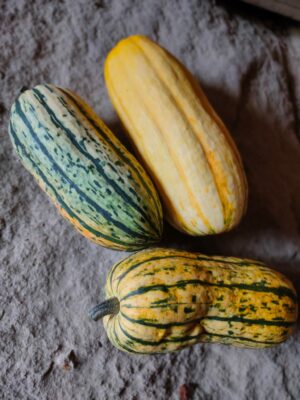 Courge Delicata  (pièce)