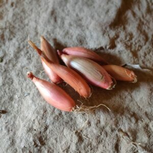 Echalion (500g)