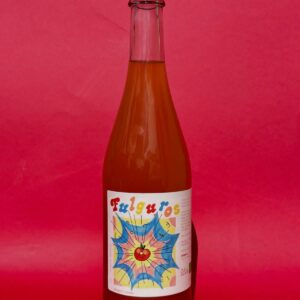 Cidre Fulguros – Pomeli - 75cl (Copie)